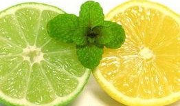 在线观看柠檬,一场视觉与味觉的盛宴